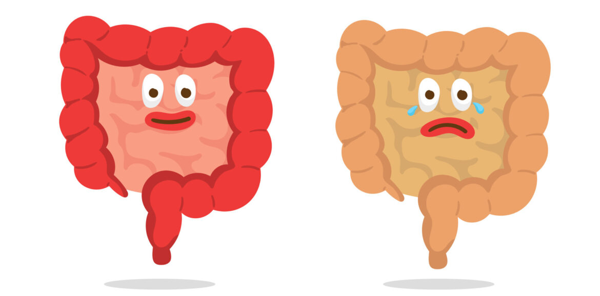 intestino felice e disbiosi