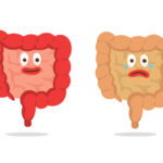 Intestino felice e disbiosi