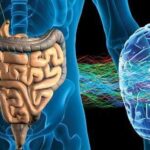 Intestino: secondo cervello