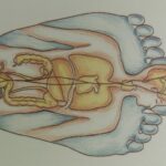 Reflessologia Plantare