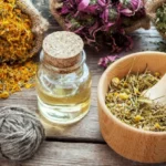 Le piante officinali: origini e curiosità